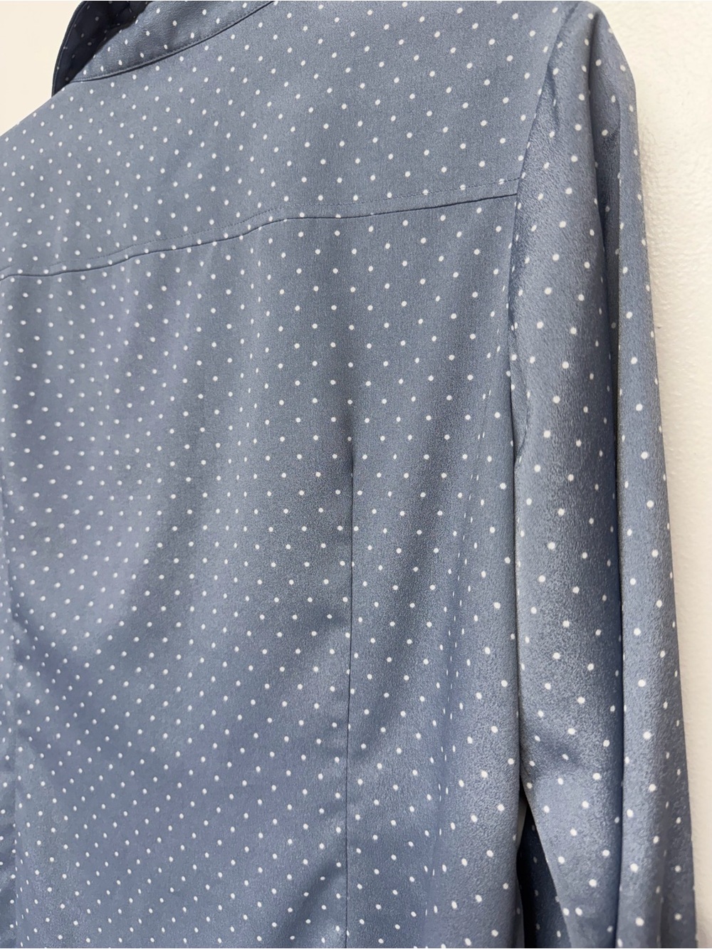 Pendleton Blue Dot-Print Button-Up Shirt - Picture 5 of 7